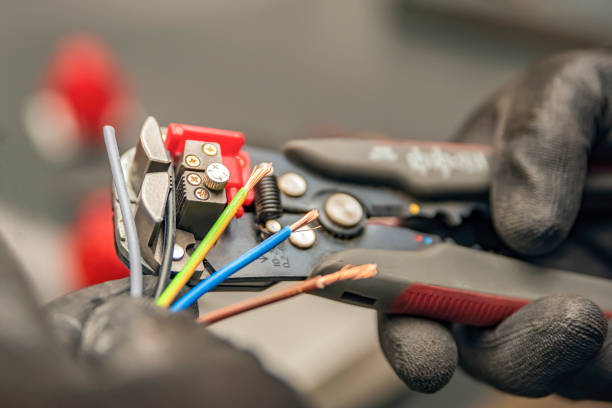 Best Electrical System Inspection  in Leslie, MI