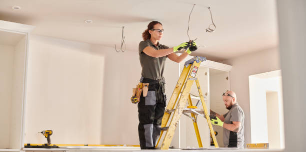 Best Outdoor Lighting Installation  in Leslie, MI