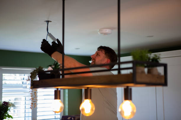 Best Electric Panel Repair  in Leslie, MI