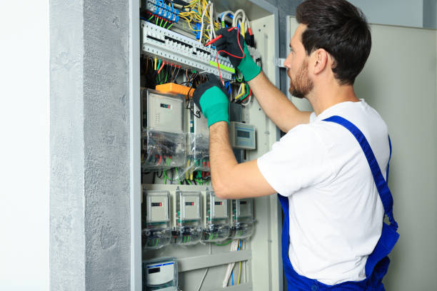 Best Home Electrical Repair  in Leslie, MI