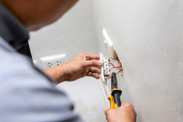 Best Electrician for Home Renovation  in Leslie, MI