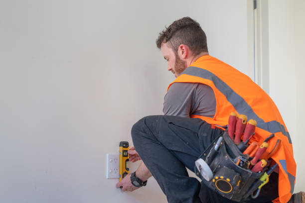 Best Ceiling Fan Installation Electrician  in Leslie, MI
